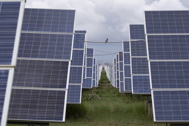 A bird rests on a cable strung between solar panels in Hainan prefecture of western China's Qinghai province on Tuesday, July 1, 2025. (AP Photo/Ng Han Guan)