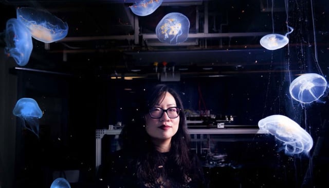 (Image Credit: Glenn Asakawa/University of Colorado Boulder)