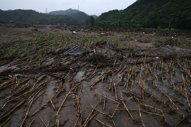 Damaged corn stalks lie along the bank of the Liuli River, after heavy rains in late July that flooded the village, in Huairou district of Beijing, China, August 13, 2025. REUTERS/Tingshu Wang/File Photo