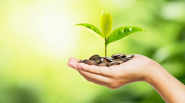 A hand holding a pile of coins with a small green plant sprouting from them, symbolizing growth and investment.