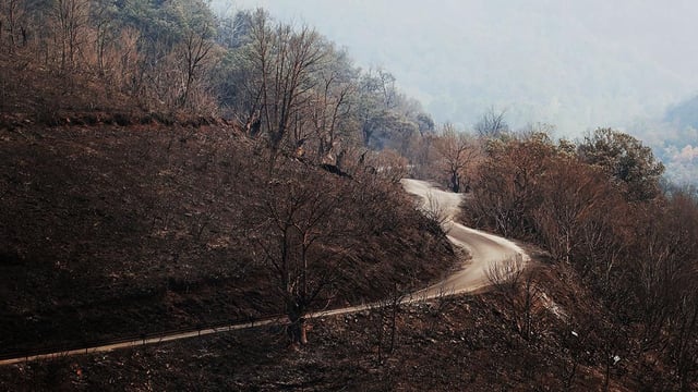 Los bomberos y la UME luchan contra un amplio número de incendios declarados en distintas zonas del país