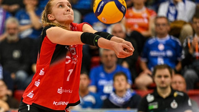 Nestler spielt seit 2024 in Dresden