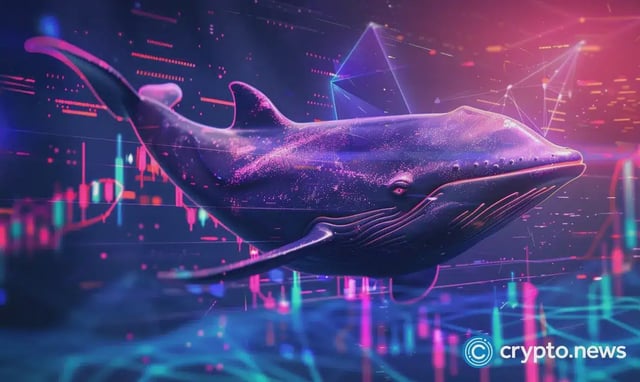 BEAM whale activity