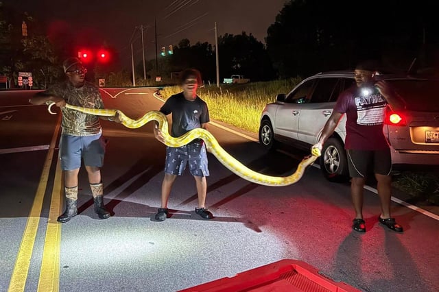 A picture of the men who captured the snake after it was reported in the area.