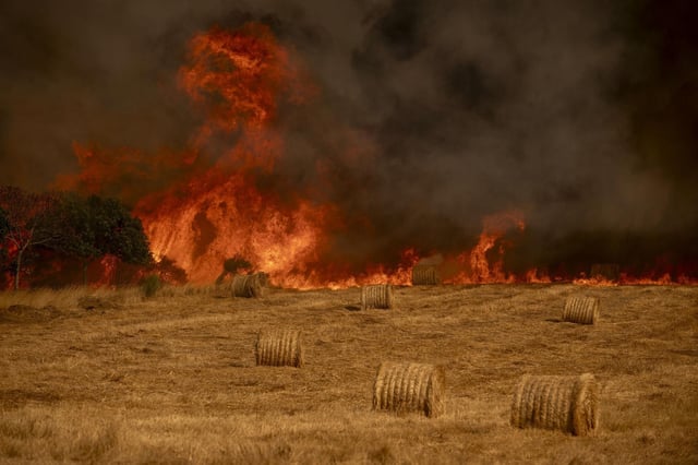 Incendio en el municipio gallego de A Gudiña.