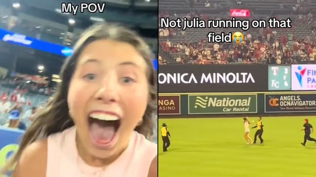 Julia Hill running onto baseball field and being arrested by police