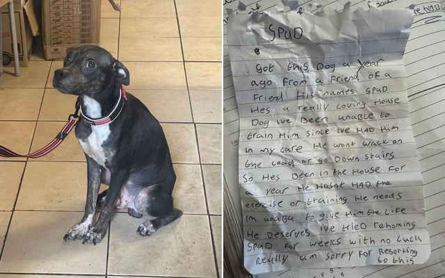 Spud and the note he was found with.