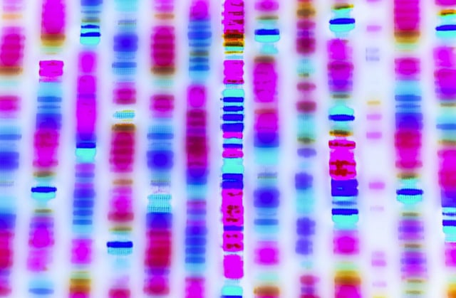 Optimism taps flashbots to supercharge op stack sequencing