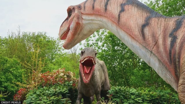 HUGE: First Proof Of Dinosaurs In Jaisalmer Village As Scientists Find Jurassic Era Vertebrae | Image: Pexels