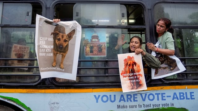 Animal lovers raise slogans after being detained by police in Delhi during their protest against the SC order to capture and relocate stray dogs from all localities in the NCR to shelters.