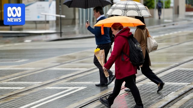 People are seen with umbrellas in western Sydney crossing the road. 