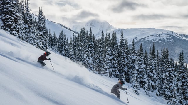 Vail Resorts_Skiers at Whistler Blackcomb