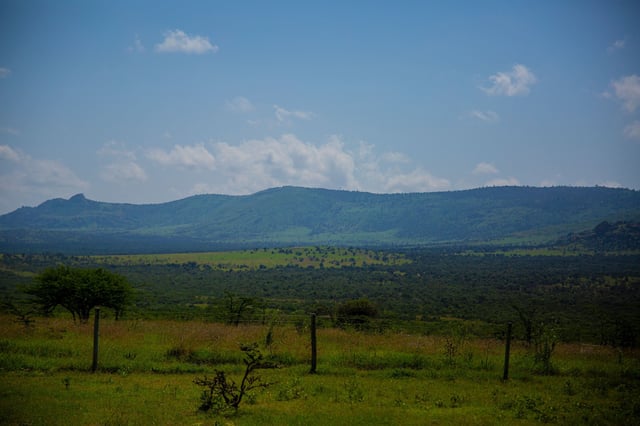 The privately-owned Lolldaiga Conservancy in central Kenya where a 2021 fire during British Army training exercise burned for about a week