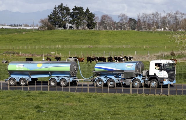 A Fonterra milk tanker drives past dairy cows as it arrives at Fonterra's Te Rapa plant near Hamilton, New Zealand August 6, 2013. REUTERS/Nigel Marple/File Photo