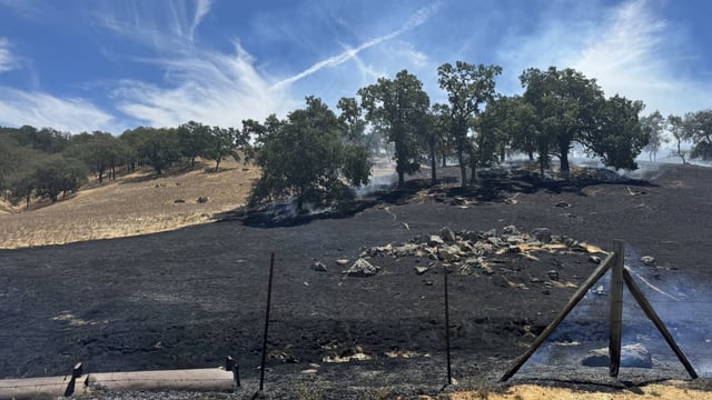 Watson Fire