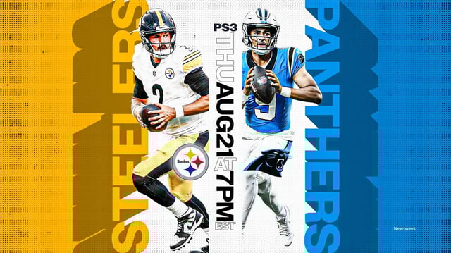 Steelers vs Panthers - NFL Preseason Week 3