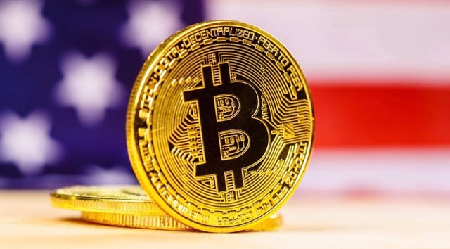 A single investor lost $91m in bitcoin to a fake support scam