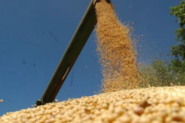 Fuentes de la agroexportación estimaron que este mes van a ingresar alrededor de US$1500 millones