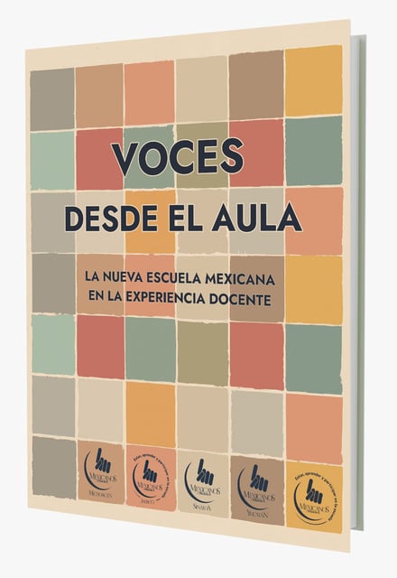 Se hicieron entrevistas semiestructuradas a los maestros.