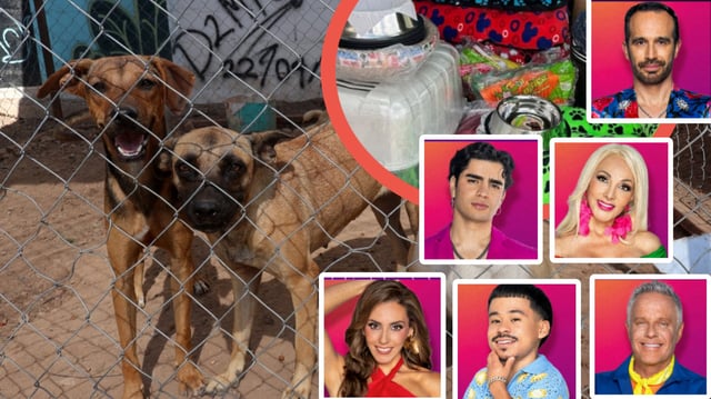 El equipo de Aarón Mercury entrega donativo a Pergatuzoo beneficiando a más de 2,500 animales. / Foto: Especial