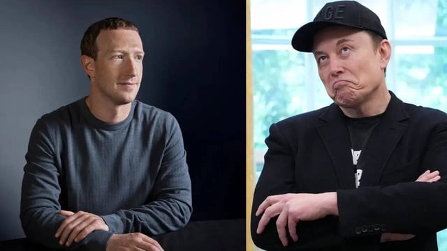 Mark Zuckerberg and Elon Musk