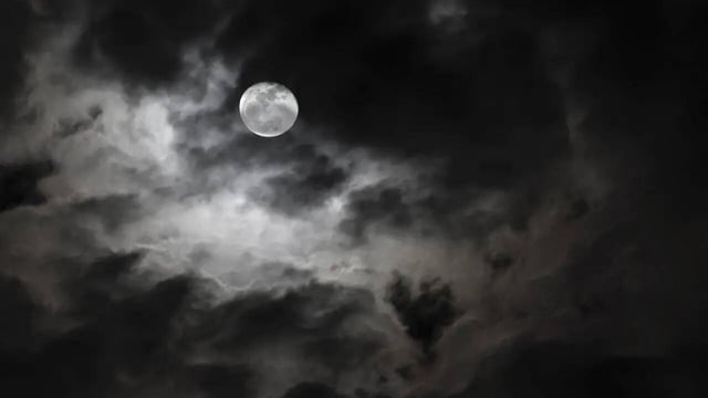 August Virgo New Moon 2025: These 4 Zodiac Signs Are Going To Be Lucky