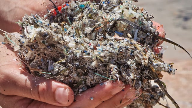 Forscher haben ein Hydrogel entwickelt, das Mikroplastik im Meer aufnimmt und abbaut.