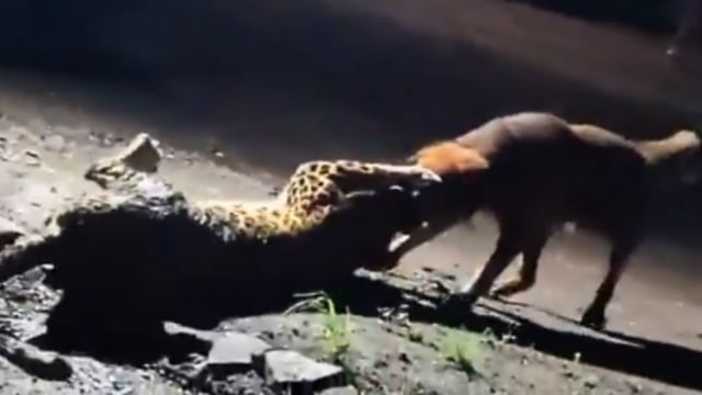 Nashik video goes viral. Image Source: ‘EnglishSalar’/ X
