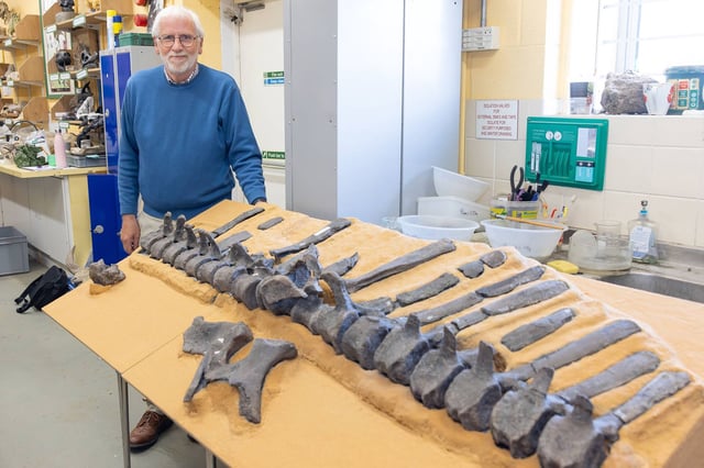 Jeremy Lockwood, pictured with the spinal column of Istiorachis macarthurae
