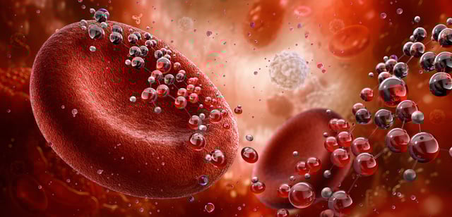 Illustration representing red blood cells transporting oxygen throughout the bloodstream, with hemoglobin within each cell binding to o2 molecules.