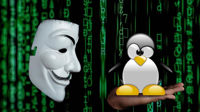 A hacker holding Tux the Penguin