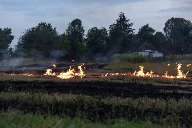 Aumenta 40% la exposición humana a incendios forestales. (Freepik)