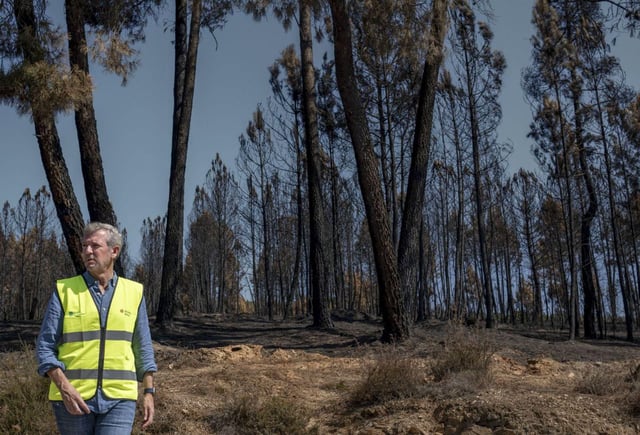 Rueda, ayer, en los viñedos de Adega Tapias Mariñán , en Monterrei. |  J.P. Gandul