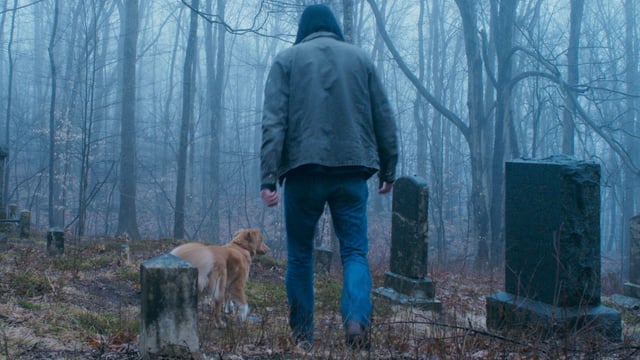 Indy the dog in a cemetery with his owner.