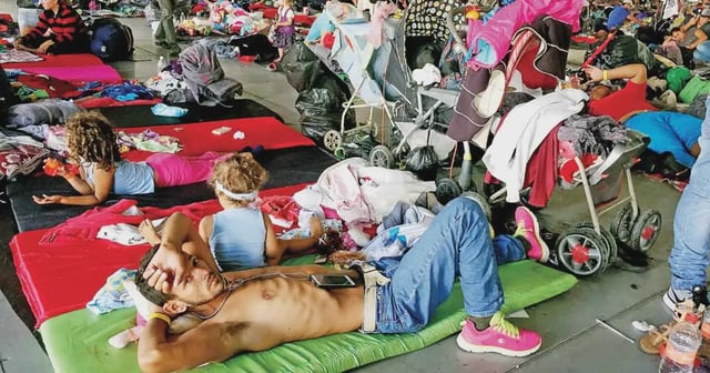 migrantes
