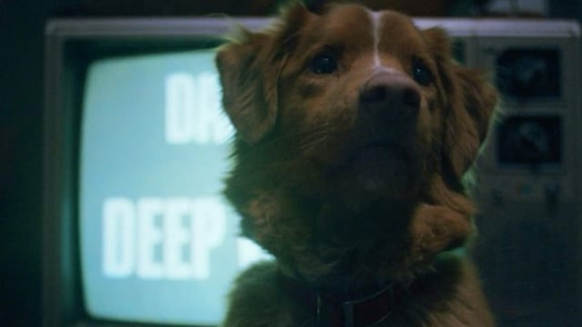 Good Boy is slated for release on October 3