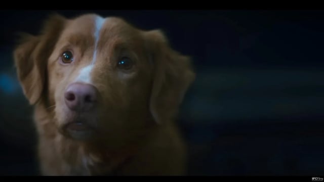 'Good Boy' movie