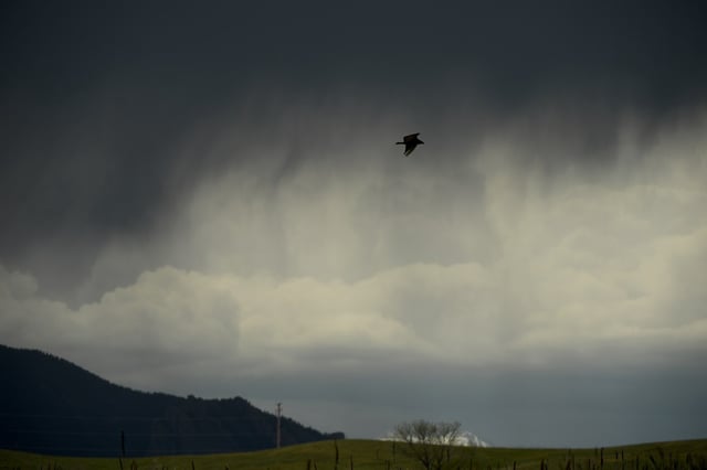 Rain coming to the Rocky Flats National Wildlife Refuge Golden, Colorado on June 3, 2019.
