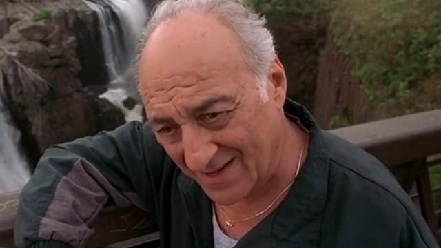 The Sopranos Star Jerry Adler Dies At 96; The Good Wife Showrunner Pays Heartbreaking Tribute