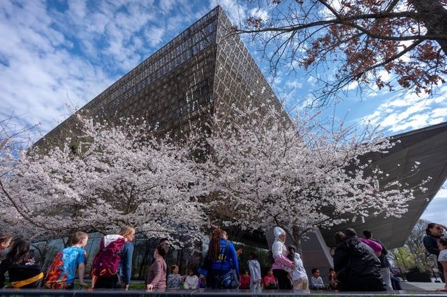 The National Museum of African American History and Culture on the National Mall in Washington, D.C., on March 28, 2025. (Mark Schiefelbein/AP)