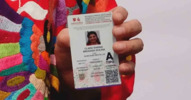 licencia de conducir