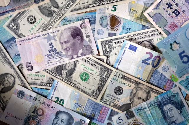 U.S. dollar, Euro, Chinese Yuan, Canadian dollar, Turkish Lira and Pound banknotes are seen in this illustration taken May 4, 2025. REUTERS/Dado Ruvic/Illustration