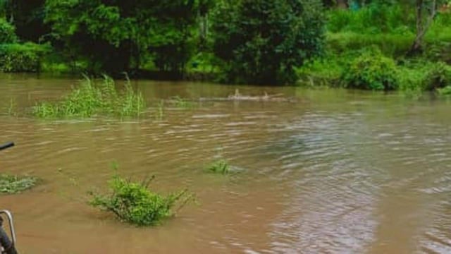 A breach in the dhussi bandh on Sunday flooded Mehtabpur village in Mukerian sub-division, forcing people to leave their homes. The breach has caused flood-like situation in Motla, Sanial, Miani, Mashahpur, Haler and Kolian villages also. Farmers are staring at heavy losses as floodwater has entered their farmlands. (HT Photo)