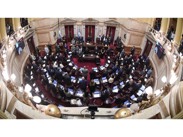 El Senado haría caer el veto a la Ley de Emergencia en Discapacidad.