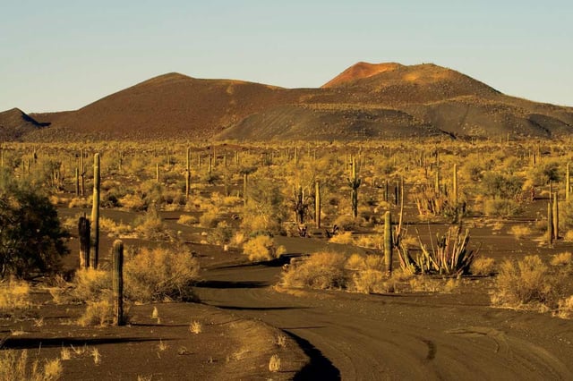Fotografía de la Reserva de la Biósfera del Pinacate y Gran Desierto de Altar, en Puerto Peñasco.