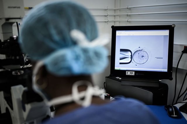 Almost 21,000 babies were born from IVF in 2023, compared to 8,700 in 2000, the Human Fertilisation and Embryology Authority (HFEA) has said.    (Photo by Philippe Lopez/AFP)