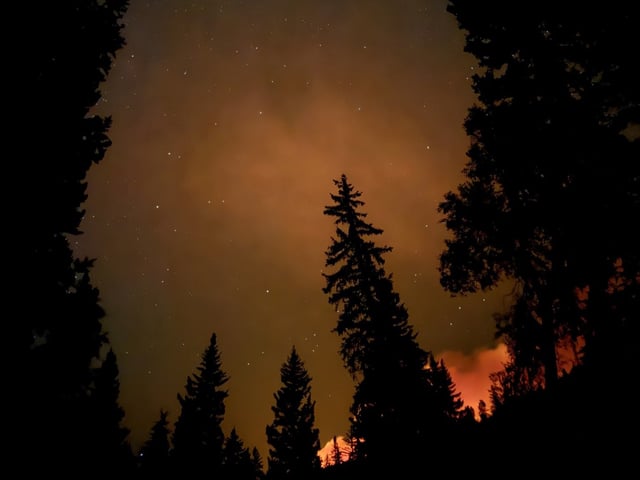 The 9,872-acre Stoner Mesa fire burns near Spike Camp in San Juan National Forest on Wednesday, Aug. 20, 2025. (Photo provided by Stoner Mesa Fire Information)