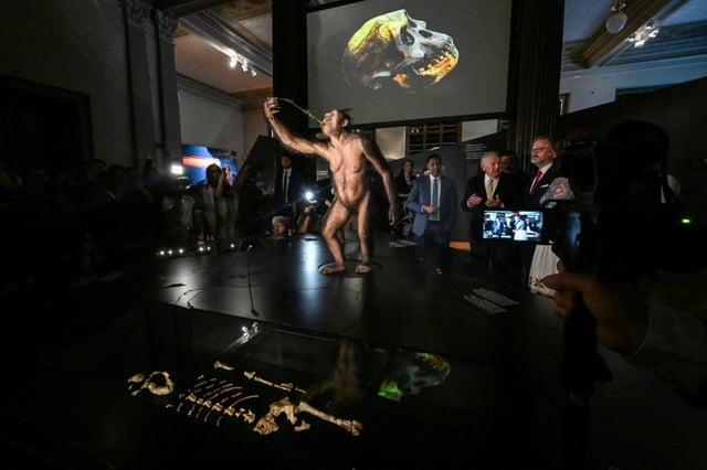 Das mehr als drei Millionen Jahre alte fossile Teilskelett Lucy gilt als bekanntester Vorläufer des Menschen - seit Montag sind die Knochenfragmente erstmals in Europa zu sehen. Die Überreste werden zwei Monate im Tschechischen Nationalmuseum in Prag ausgestellt.