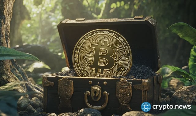 Bitcoin treasury capital
