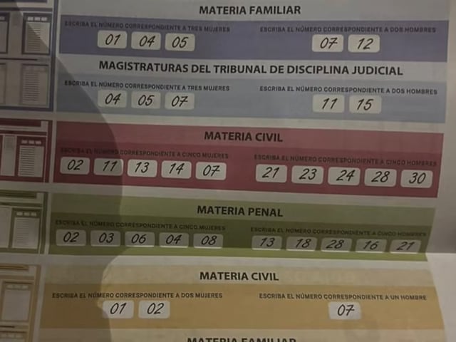 Un acordeón chihuahuense.